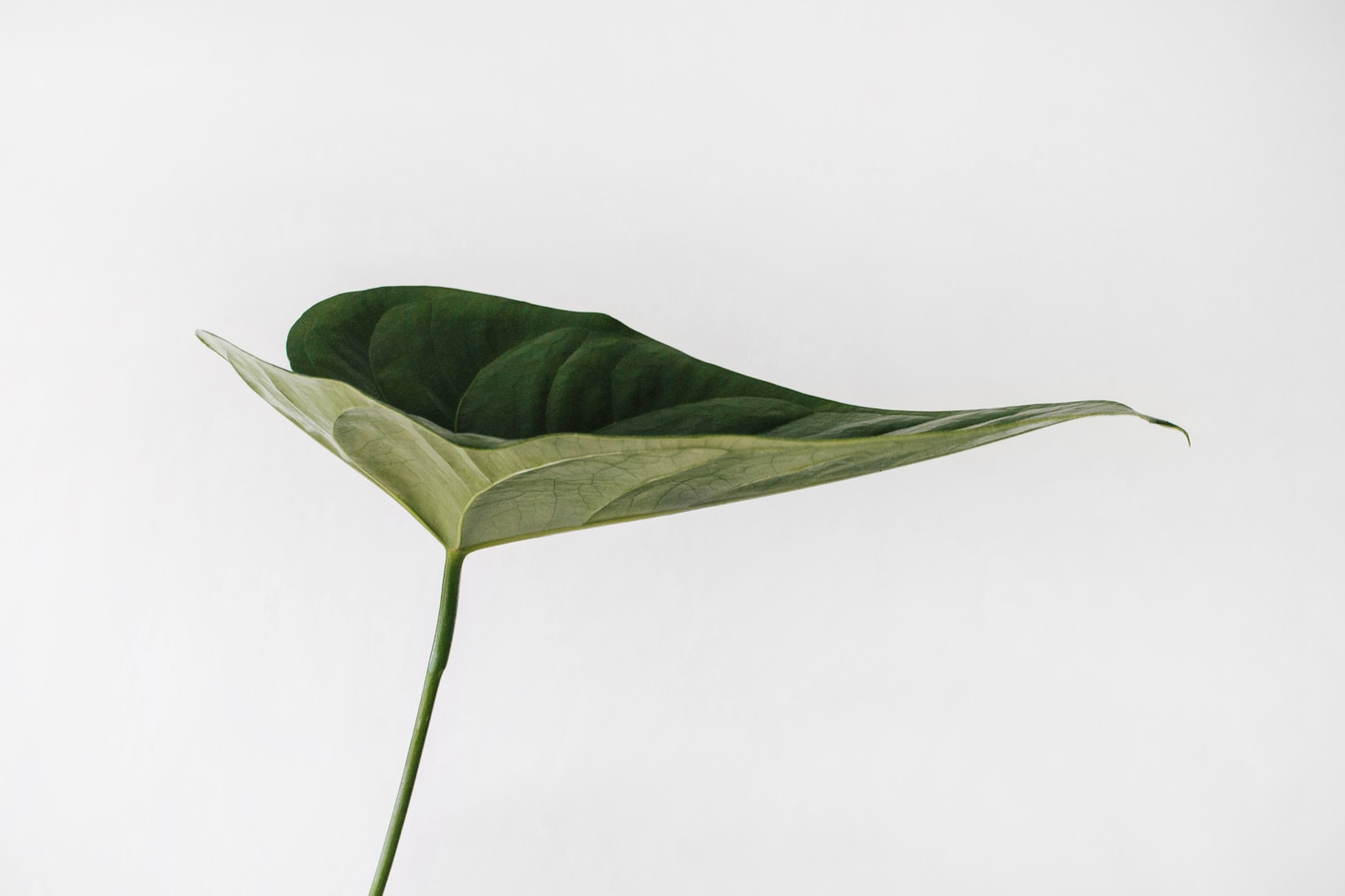 The Benefits of a Sustainable Lifestyle