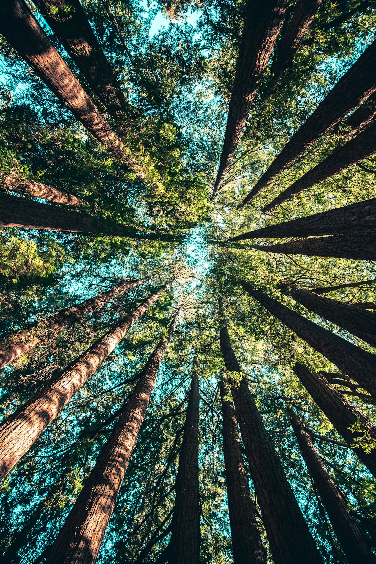 Innovative Solutions for Reducing Waste
