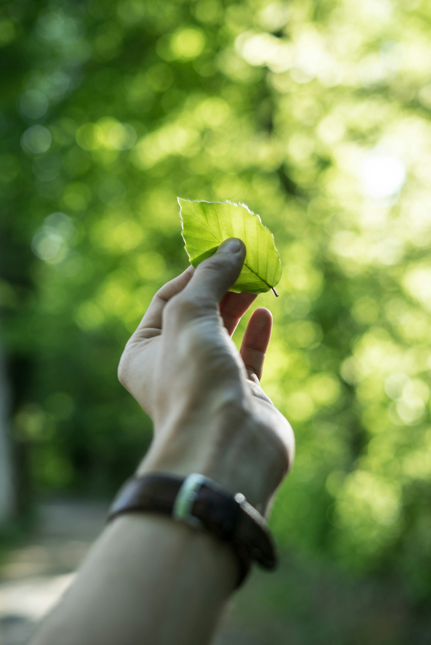 Harnessing Nature for a Better Tomorrow
