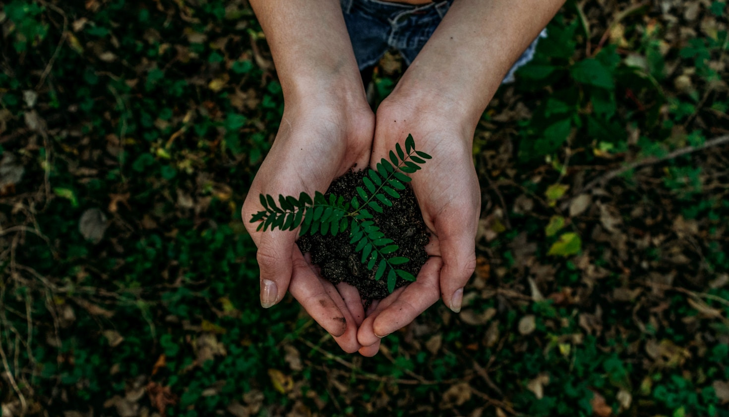 Your Journey to an Eco-Friendly Life