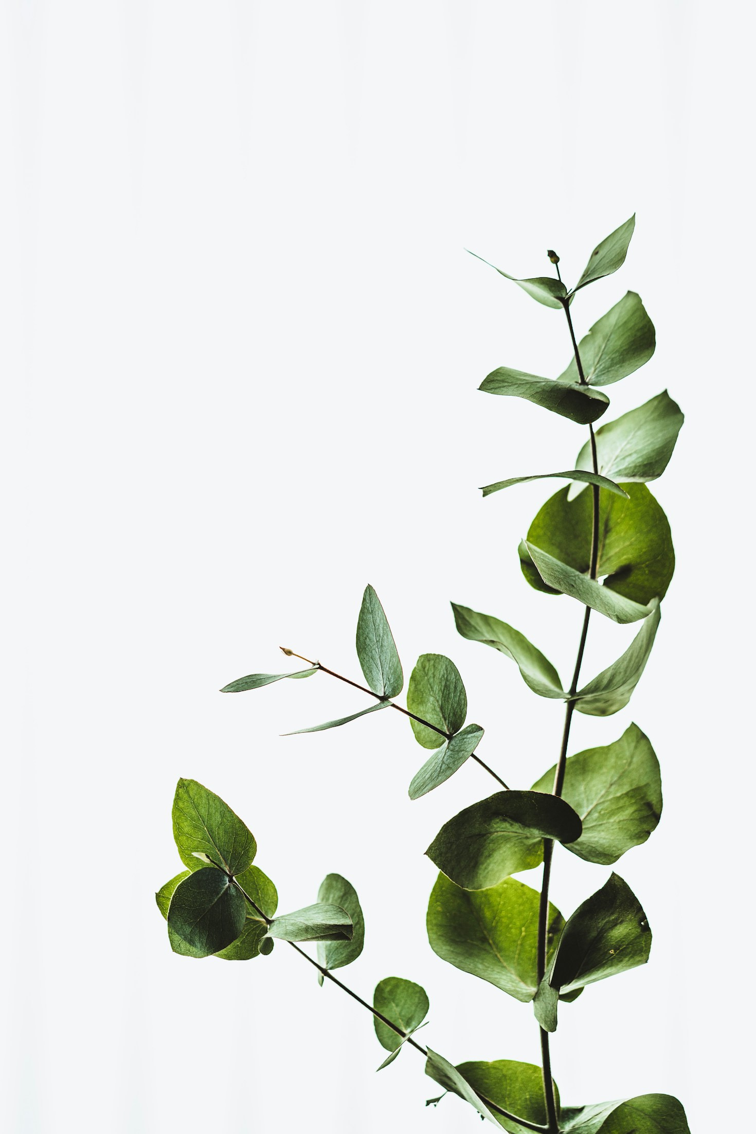 Creative Tips for a Sustainable Future